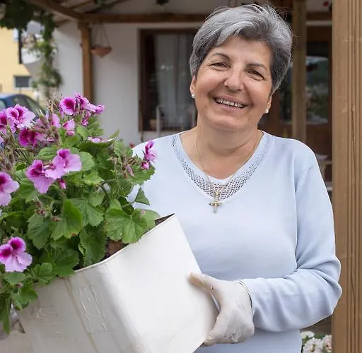 Golden Nest Appartement