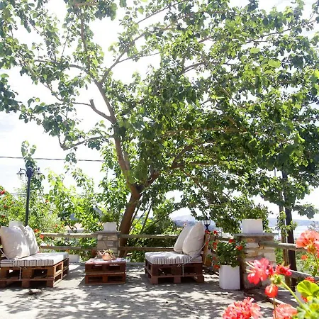 Golden Nest Лименария