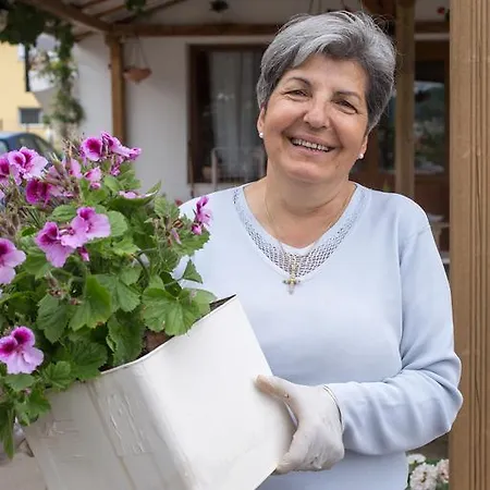 Golden Nest Apartman